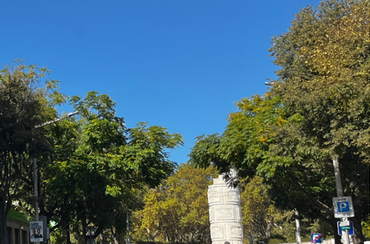 {{ other_hospital }}