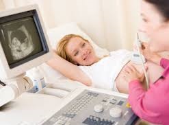 Urological ultrasound